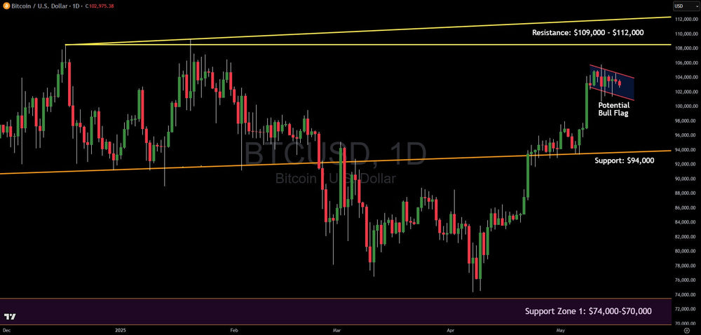 Bitcoin's Critical Juncture: Bull Flag vs. Market Correlation Risks