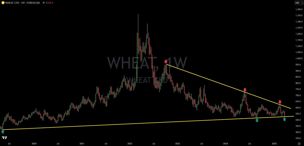 Commodity Wheat At Critical Support Level