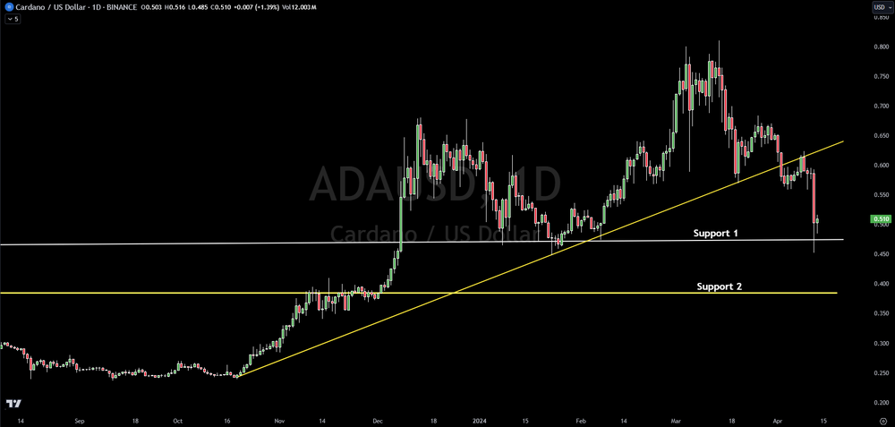 Cardano Technical Support Tagged, Here Is The Next Level