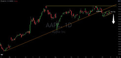 Apple (AAPL) Bear Flag Signals Downside Coming