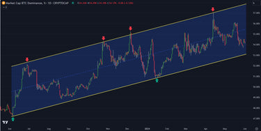 Bitcoin Dominance Still Holding Technical Chart Uptrend For Investors