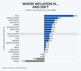 CPI Data Breakdown...Inflation Is There