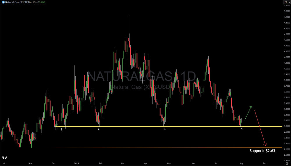 Natural Gas Holding Support, Here Is The Next Likely Move And Trade