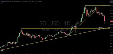 Crypto Flush: Where Is Solana's Major Support