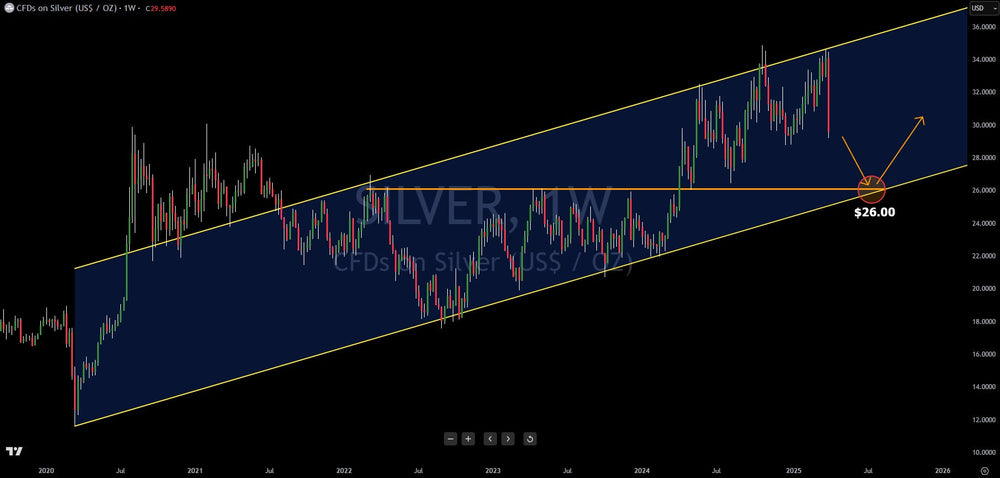 Trading Alert: Silver Rocked On Economic Fear