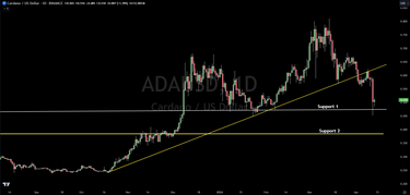 Cardano Technical Support Tagged, Here Is The Next Level