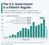 Palantir (PLTR) Gov't Contracts Flat-To-Down In 2025