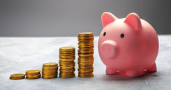 Where To Place Your Savings: Secure Investment Options