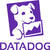 Datadog Inc Cl A